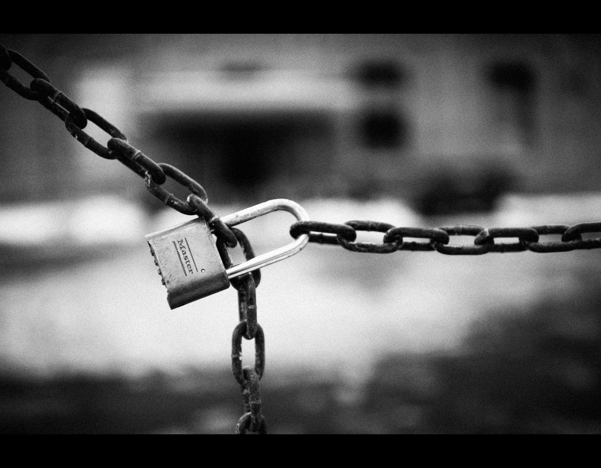 De VWN en open access